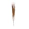 45" Brown Dried Natural Pampas Grass Foliage